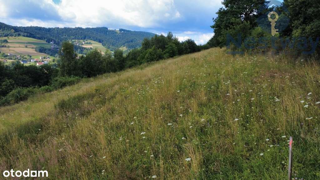 Walowa Góra| Działka Budowlana| 10 Arów| Widokowa - Pełny obrazek: 5/9