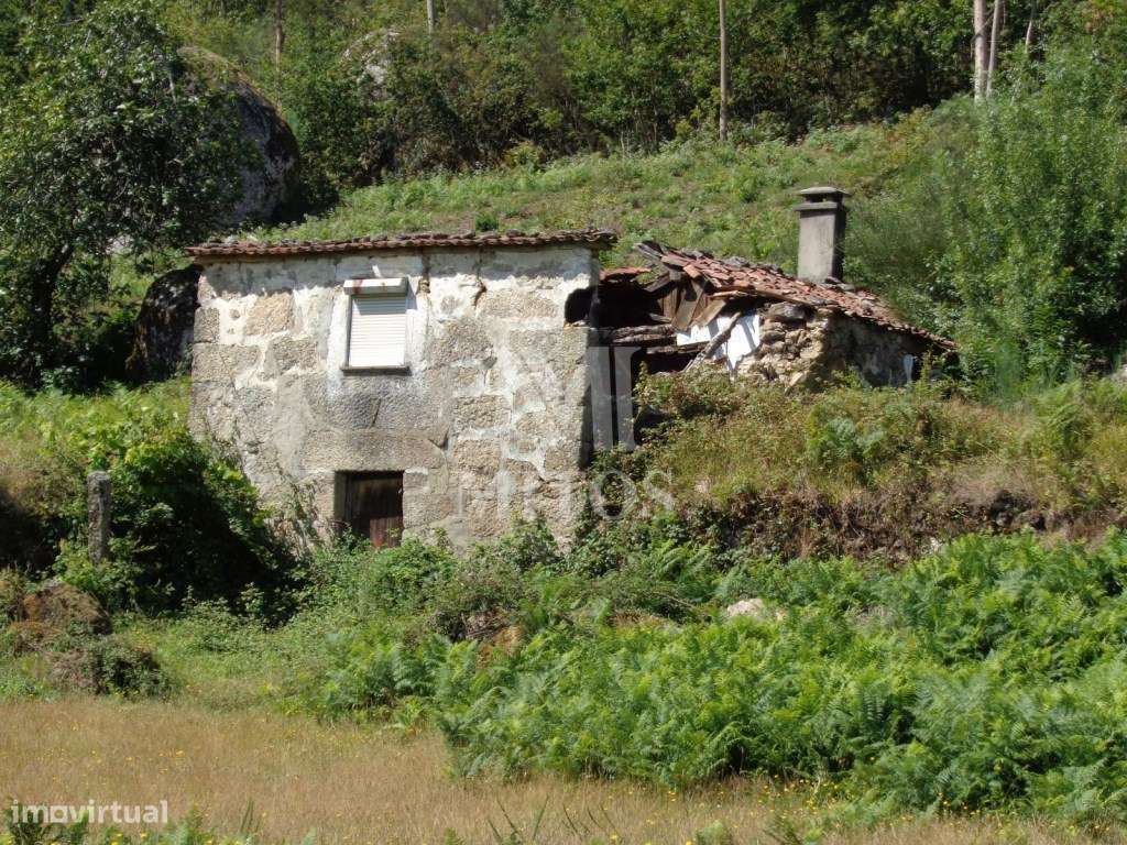 Duas moradias para restaurar - Padornelo - Grande imagem: 5/19