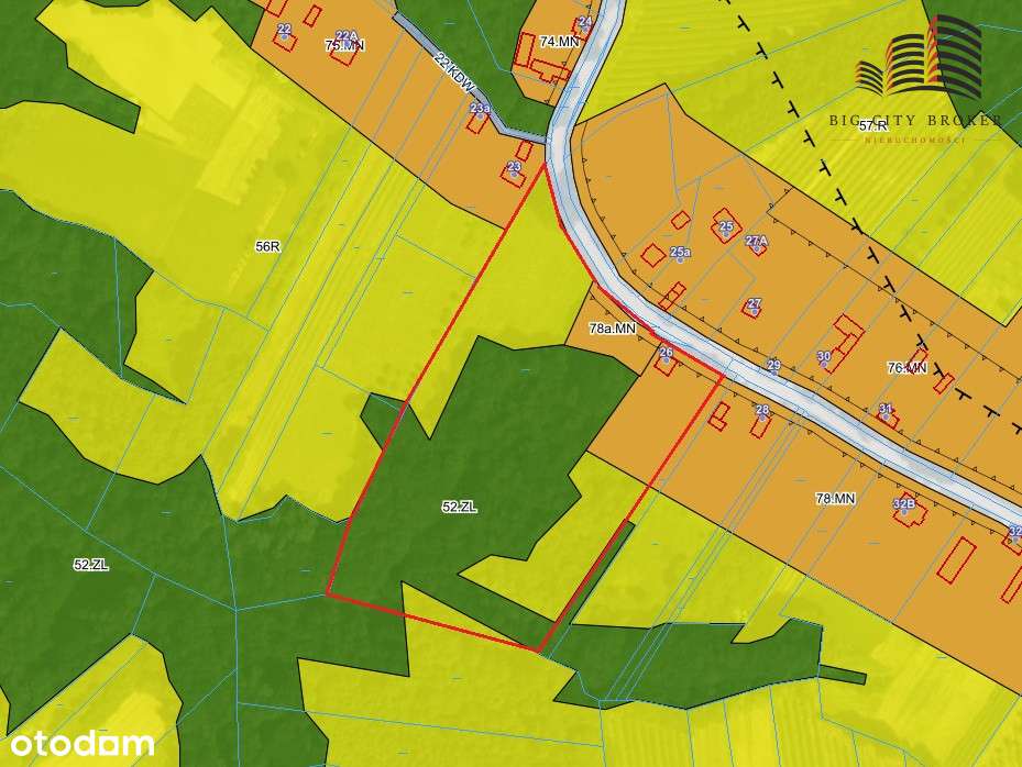 Działka z lasem i domem- Kazimierz Dolny - Pełny obrazek: 4/6