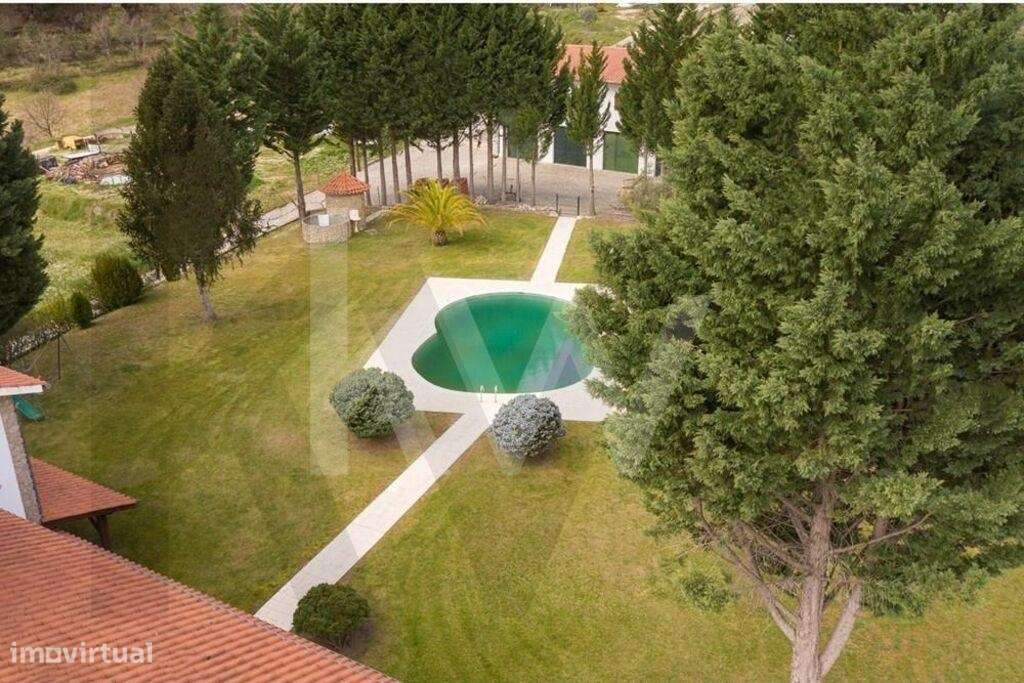 Fantástica Quinta com casa encantadora em Belmonte-59