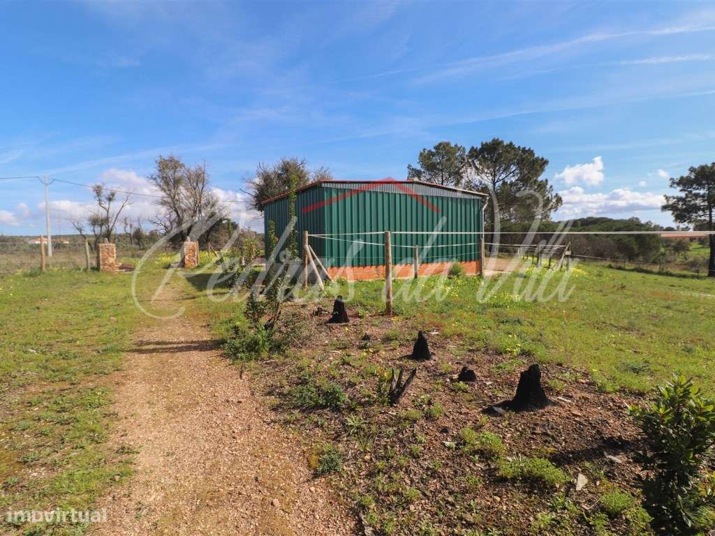 Quinta com 6,5ha em Vale Juncal - São Teotónio-55