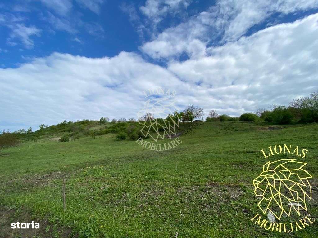 Teren Extravilan - Ghinda - 3.5000mp-Parcelabil - Imagine principală: 3/7