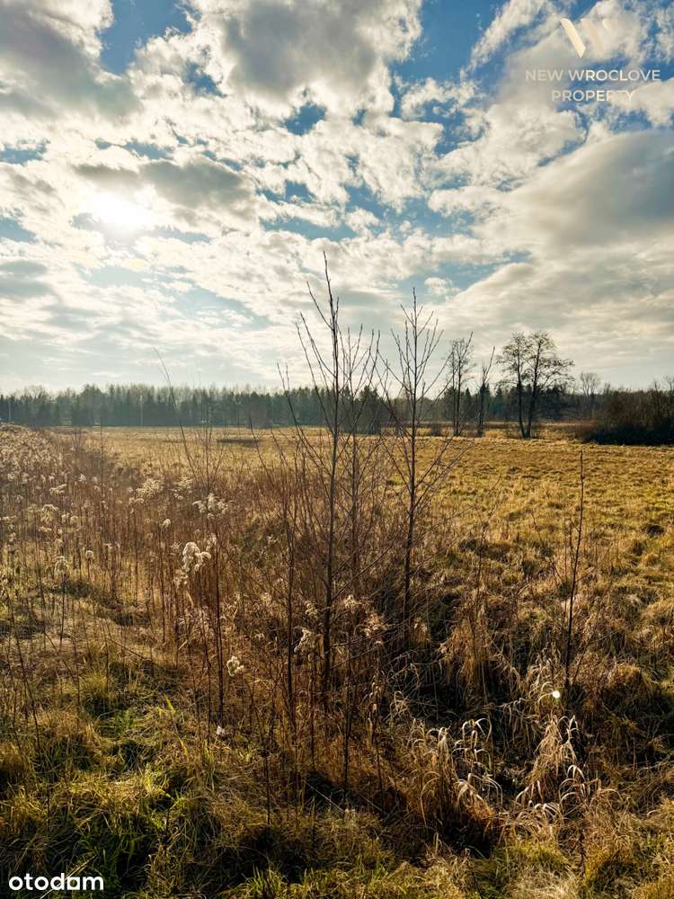 Działka rolna, niecałe 30km od Wrocławia - Pełny obrazek: 5/9