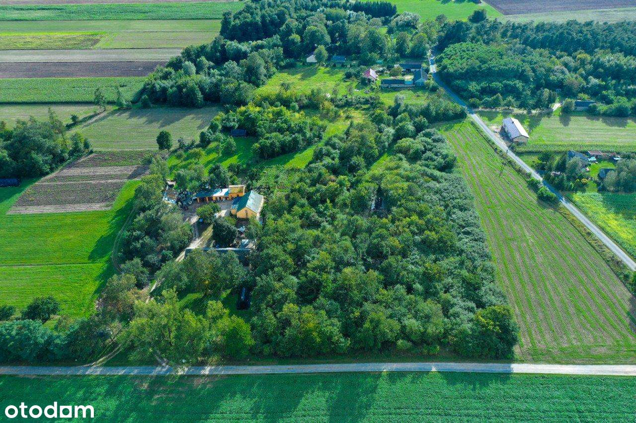 20800 Śniegocin - Pełny obrazek: 4/5