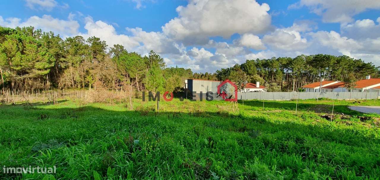 Terreno com viabilidade de construção – Monte Real - Grande imagem: 3/7