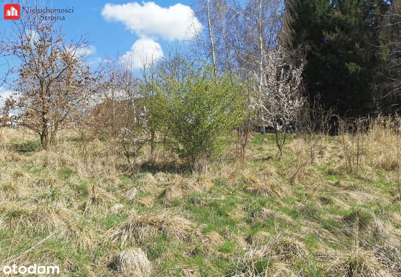 3 Malownicze działki budowlane. 6 km od Wieliczki - Pełny obrazek: 5/8