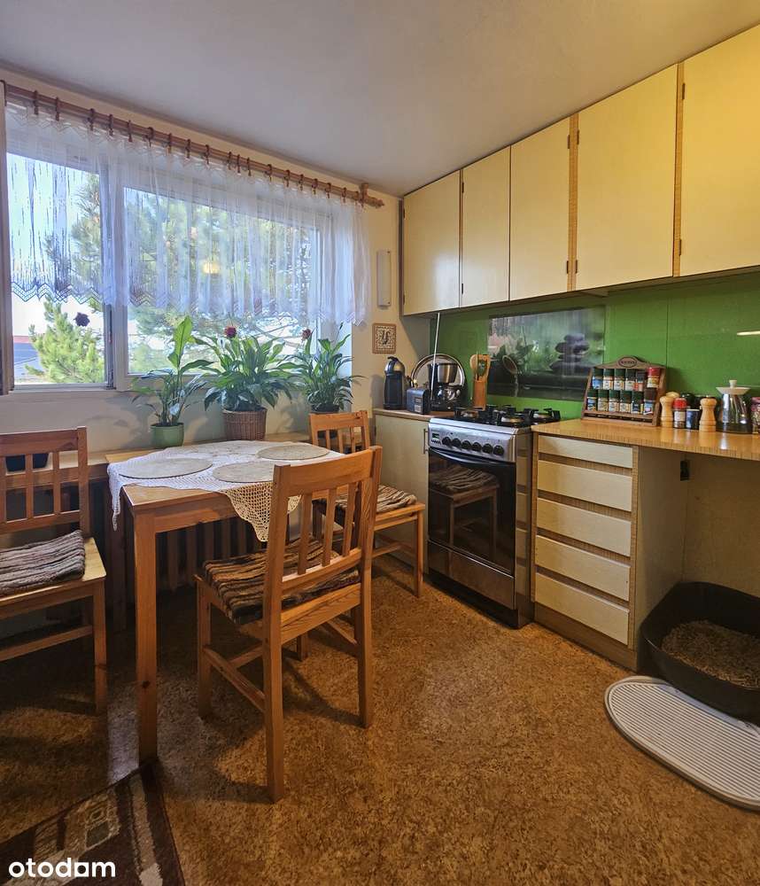 Dom Gliwice Żerniki wolnostojący  może być 2 rodzinny - Pełny obrazek: 4/14