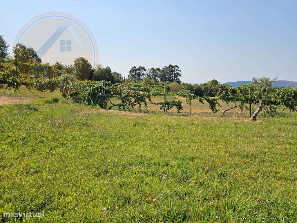Quinta Rural em Leiradas, Rio Douro, Cabeceiras de Basto-57