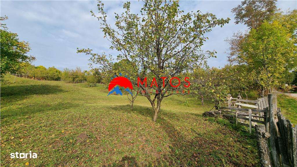 Teren intravilan 2918 mp de vânzare Talea, Prahova | 0% comision-9