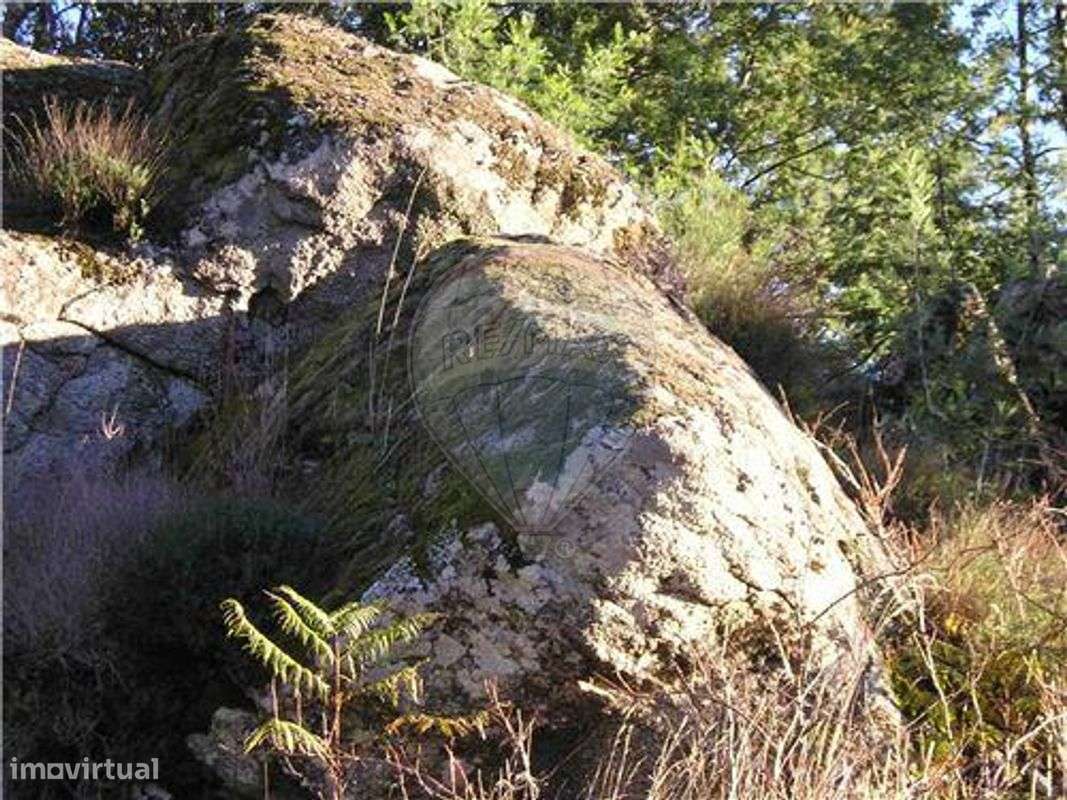 QUINTINHA C/ 2.720m²!! - Grande imagem: 5/9