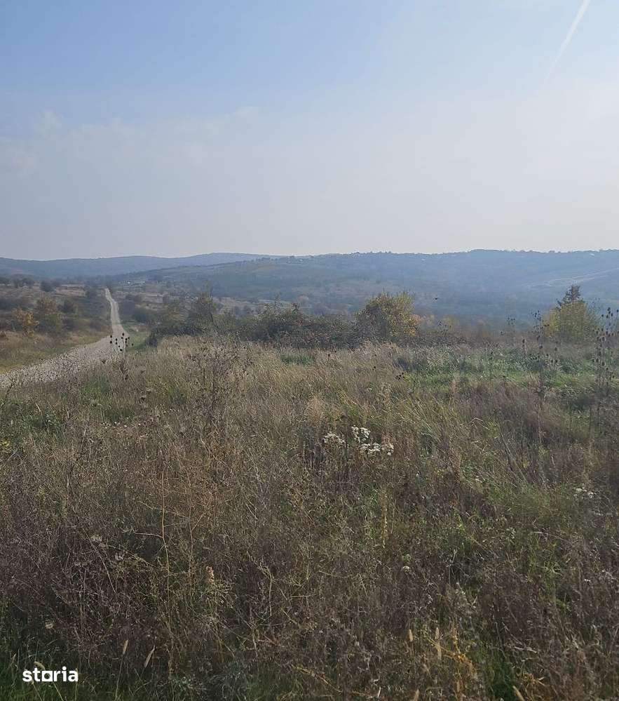 Teren intravilan de vânzare situat în Saldabagiu de Munte! - Imagine principală: 4/9