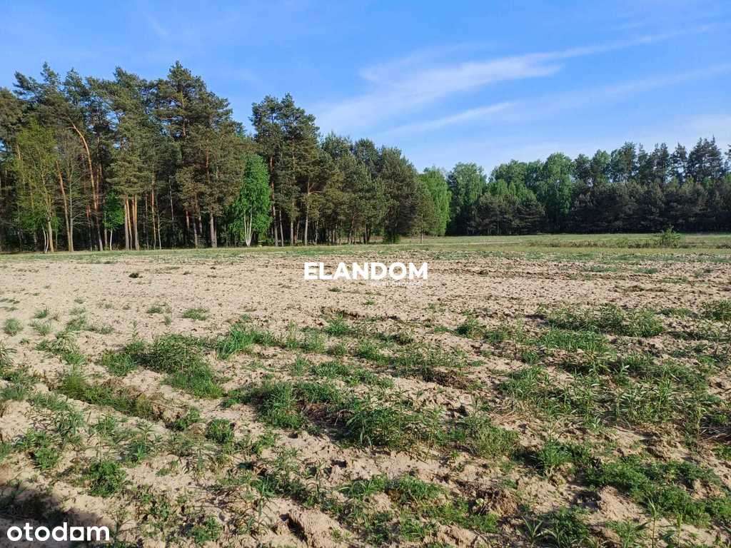 Działka rolno budowlana Gocław gmina Pilawa - Pełny obrazek: 5/7