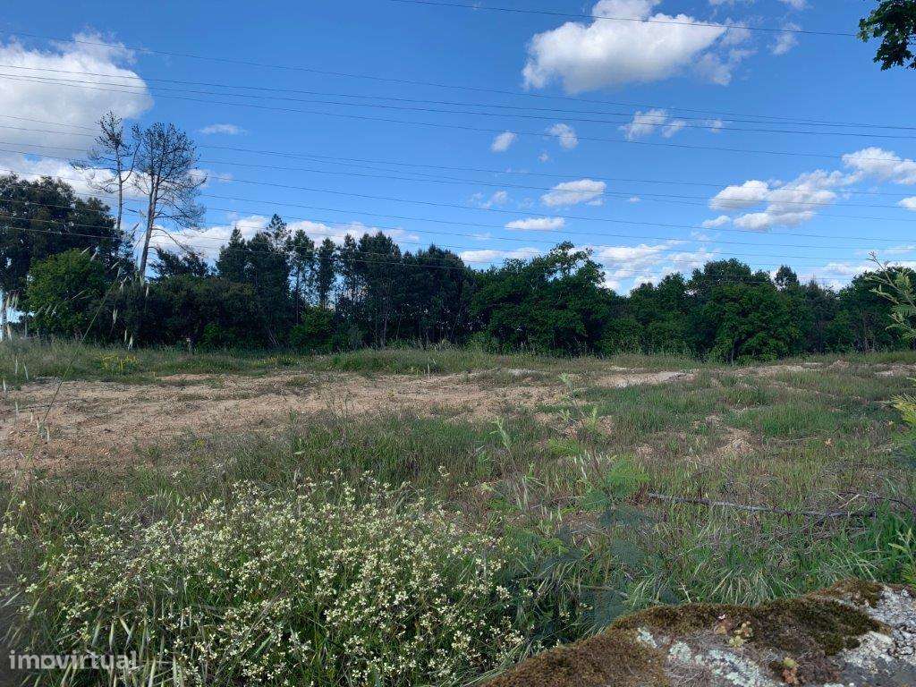 Quinta - Viseu - Grande imagem: 4/5