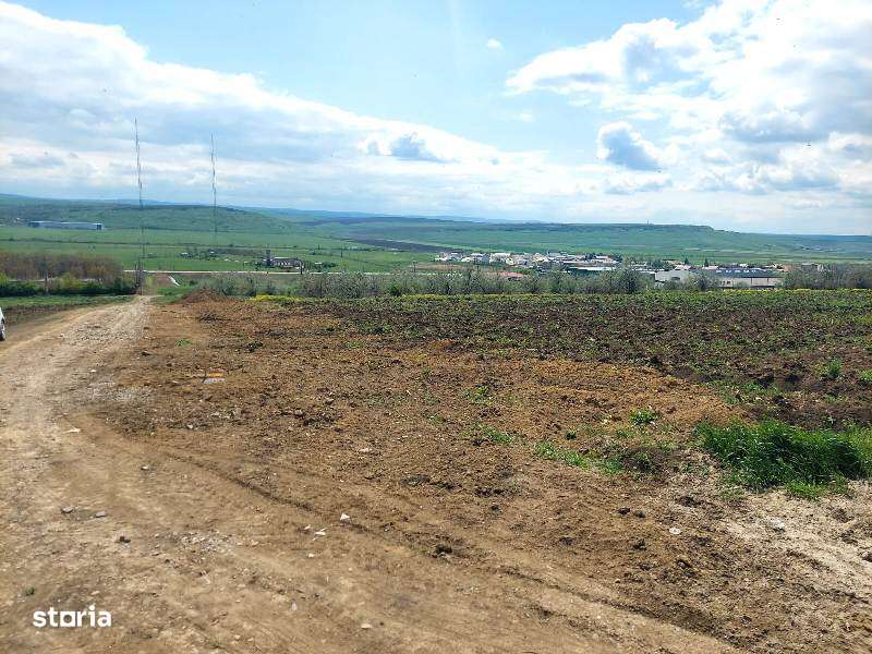 Teren intravilan industrial, zona Zeelandia, E583, utilitati-2