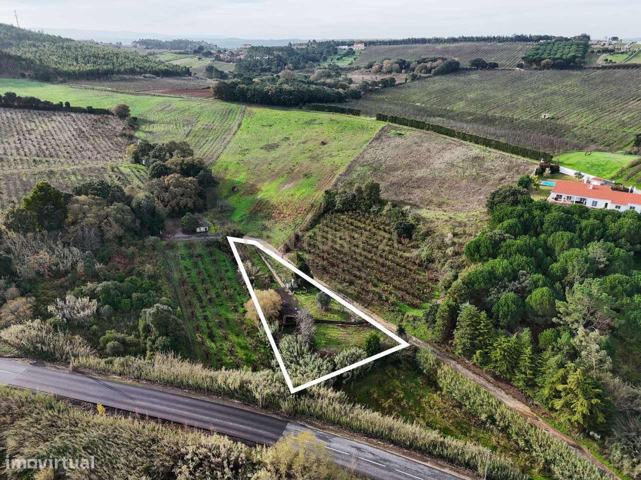 Terreno com cerca de 1520 m², na freguesia da Vermelha,  concelho do C - Grande imagem: 4/28