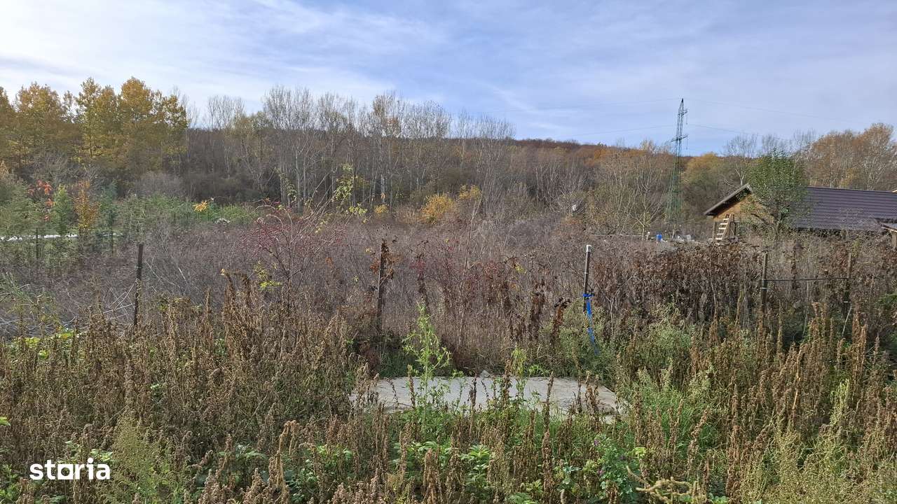 Teren intravilan Bucium Poieni-0