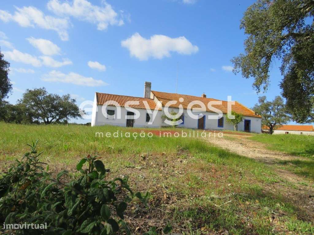 Exclusivo Herdade 92 ha com potencial turístico - Grande imagem: 4/28