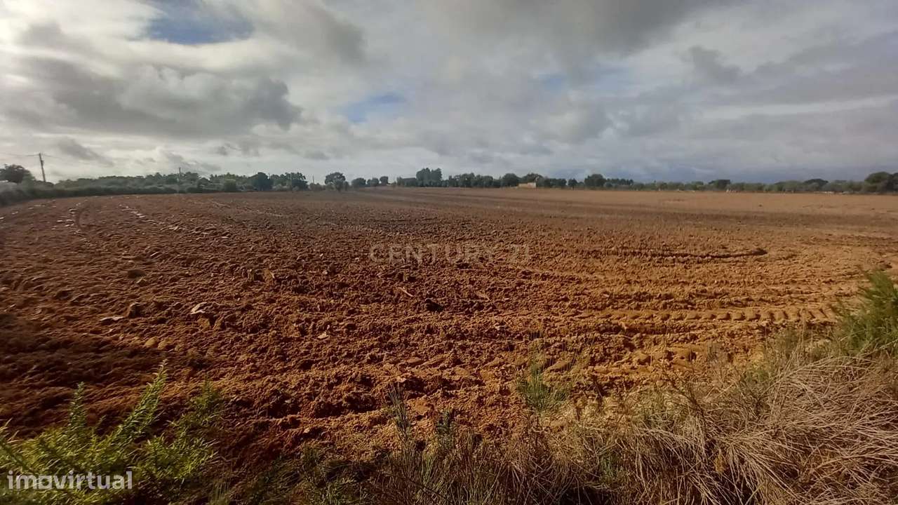 Terreno Rustico com 13500 M2 Lardosa - Grande imagem: 4/13