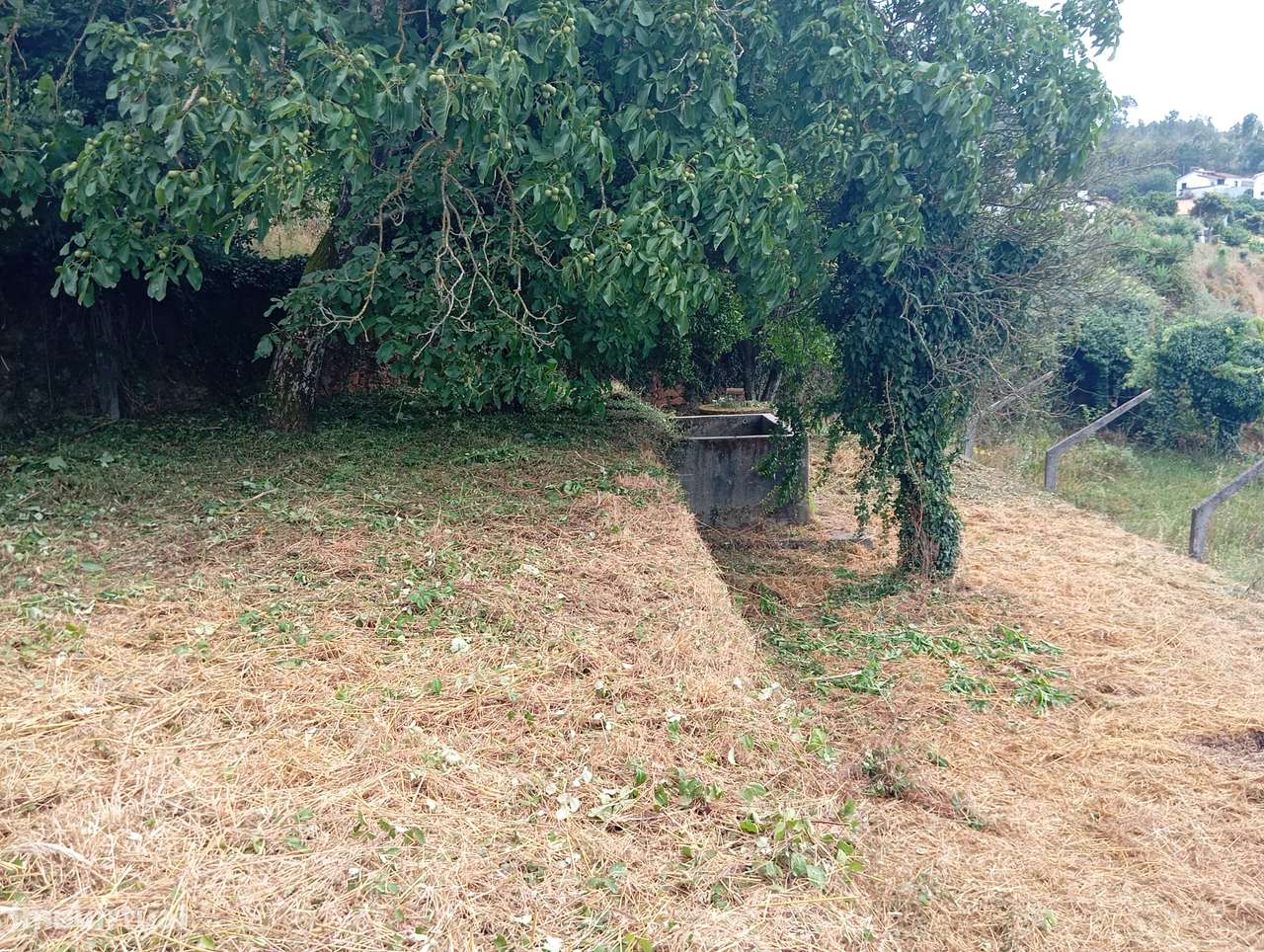 Lote Urbano para Construção em Macinhata da Seixa-16