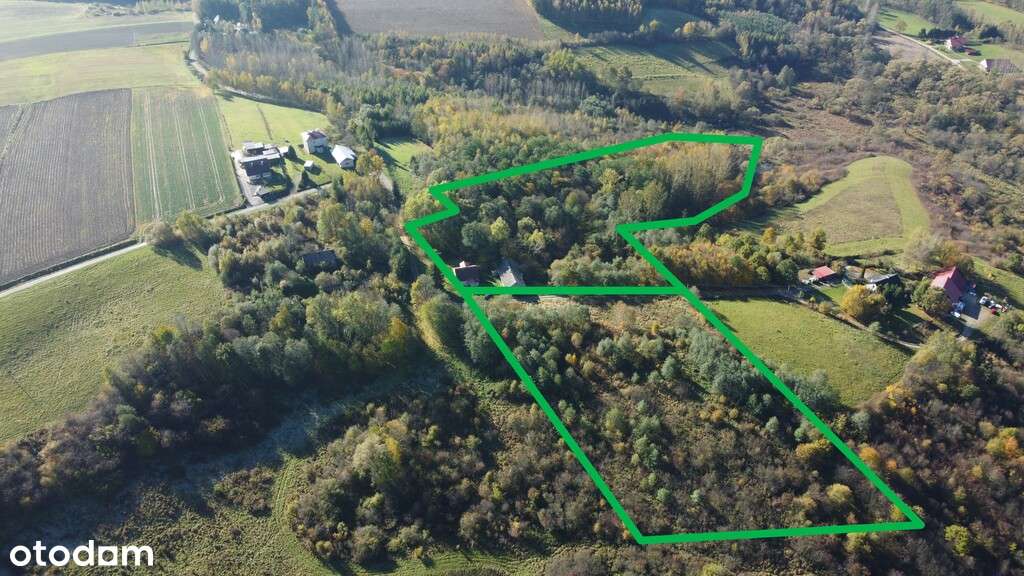 Gospodarstwo z domem 4ha ziemi - Pełny obrazek: 5/15