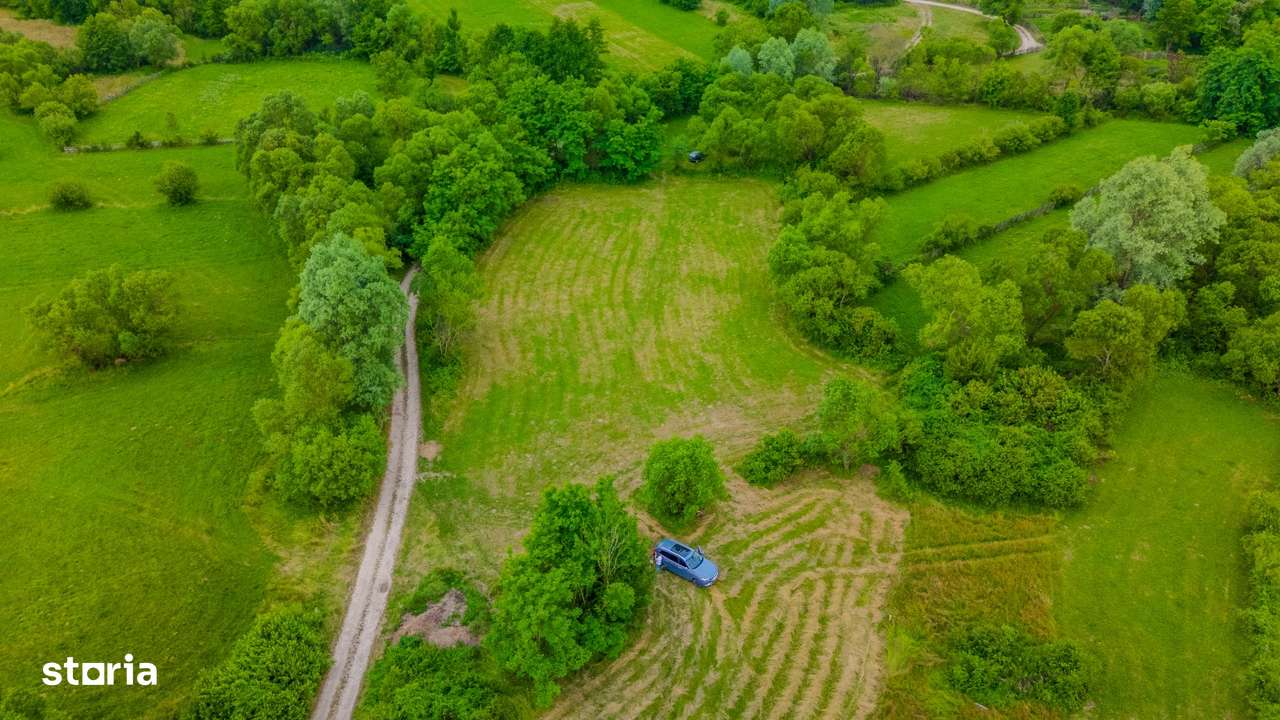 Teren recreational 3411 mp în zonă liniștită/Plata in 3 rate - Imagine principală: 4/7