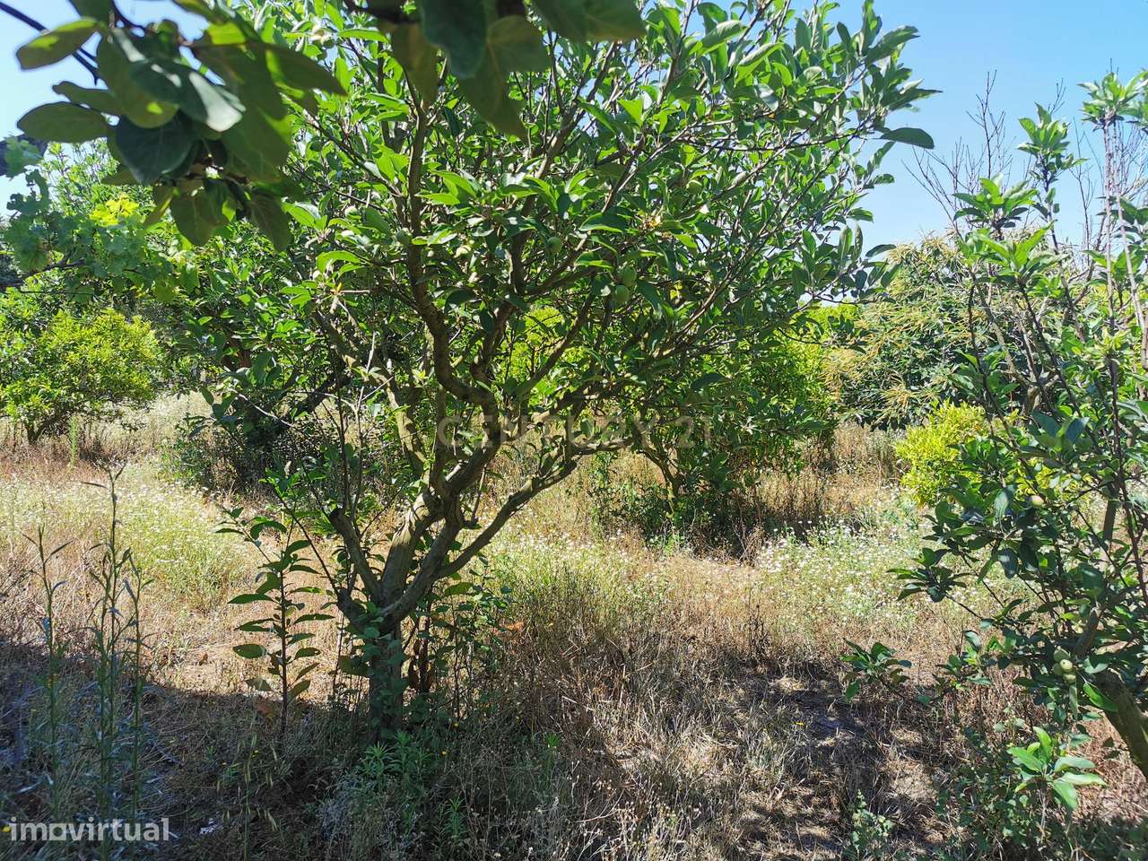 Terreno Urbano 1250m2  urbanos Olhos de Agua -   Palmela Venha constru - Grande imagem: 4/5