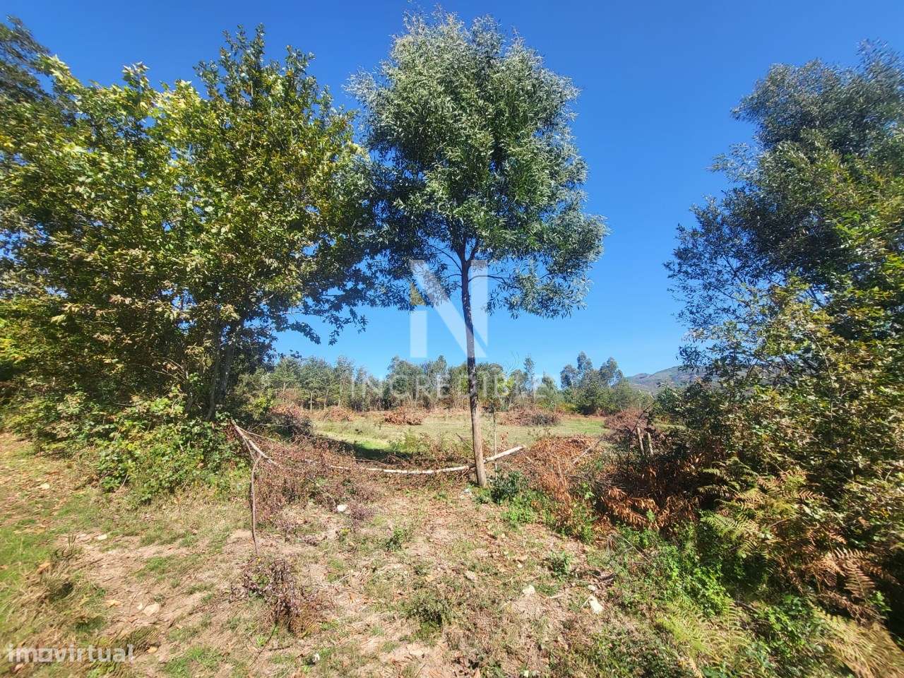 Terreno  Venda em Bucos,Cabeceiras de Basto-9