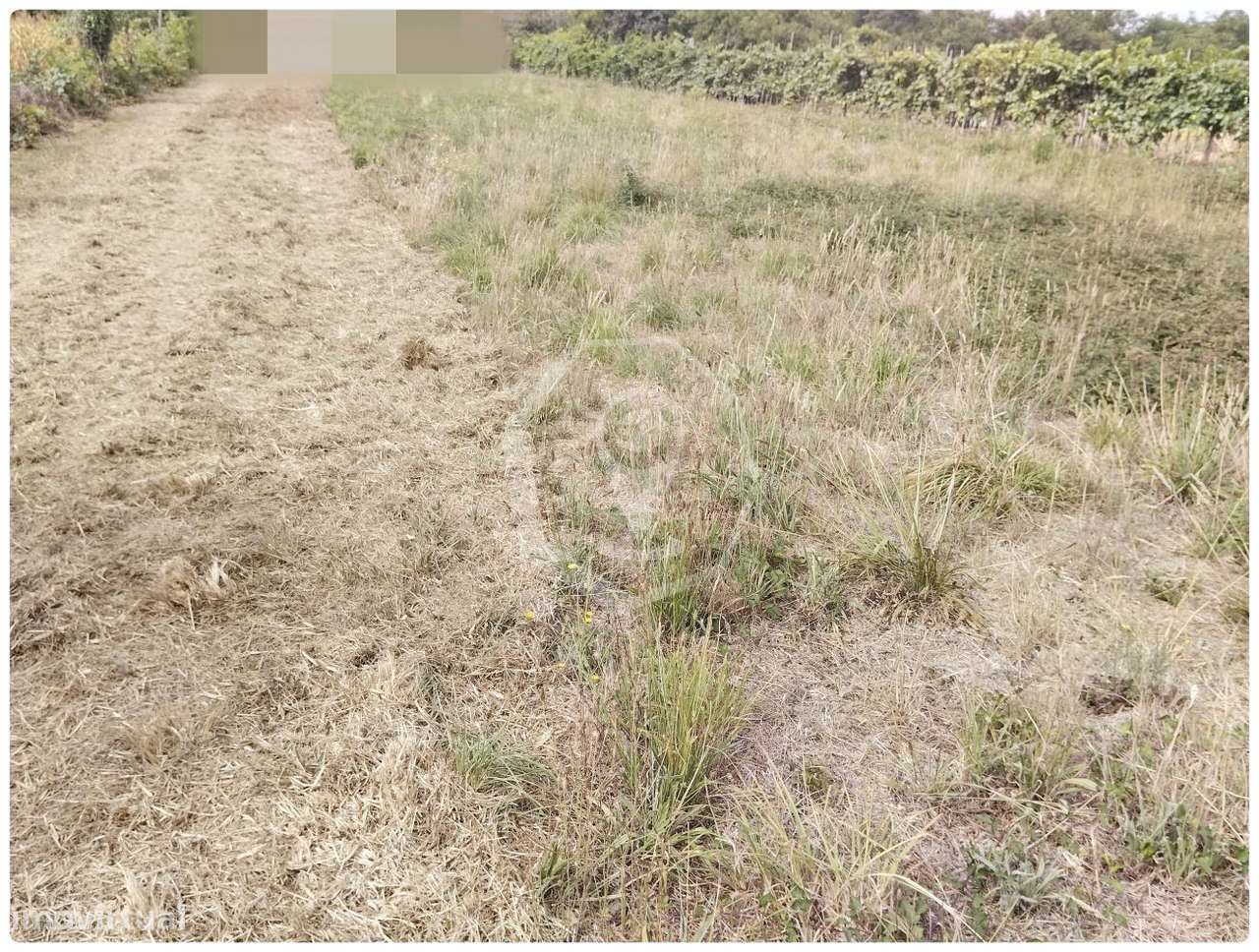 TERRENO PARA CONSTRUÇÃO - DUAS FRENTES! - Grande imagem: 4/5