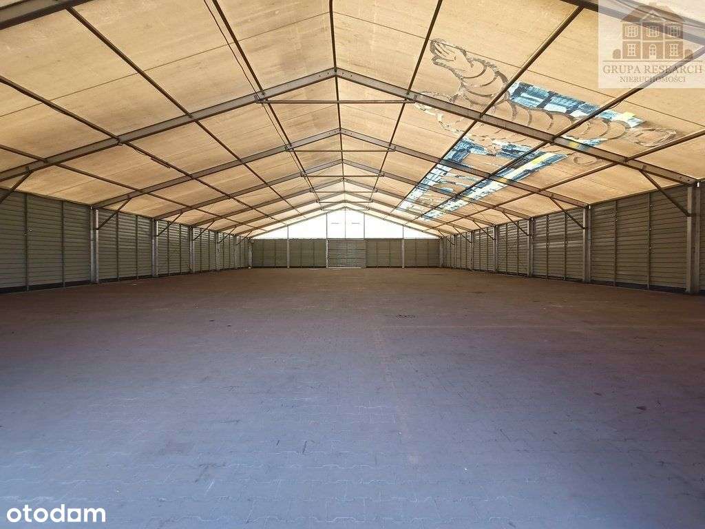 Działka Ag przy trasie katowickiej - Pełny obrazek: 5/9