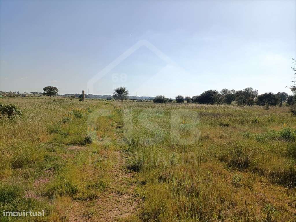 Terreno Foros da Charneca-4