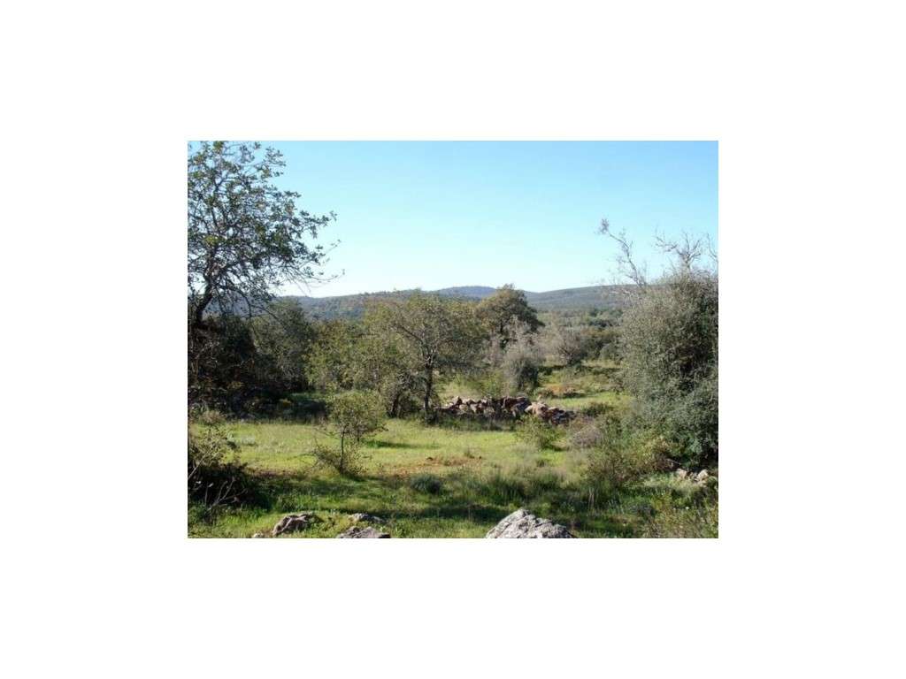 Terreno urbano com projecto de 9 moradias V3, em Funchais da Tôr, a... - Grande imagem: 3/8