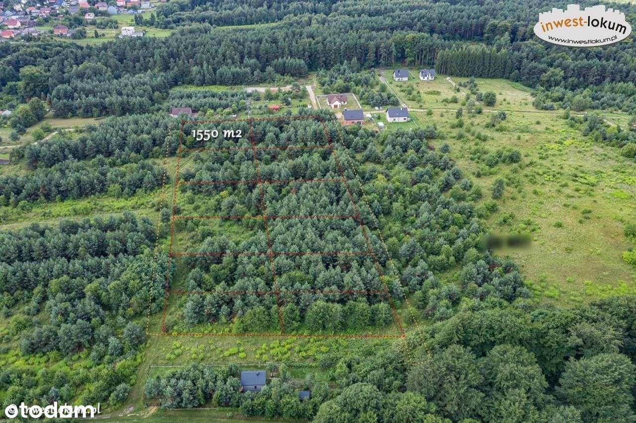 Działka, 1 550 m², Niesułowice - Pełny obrazek: 4/5