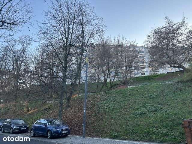 Ciche, Centrum, Powiśle, Bartoszewicza/Dynasy-11