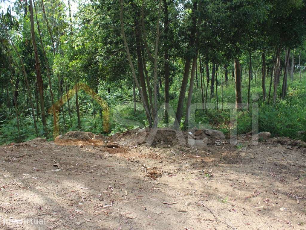 Terreno construtivo - Grande imagem: 5/10