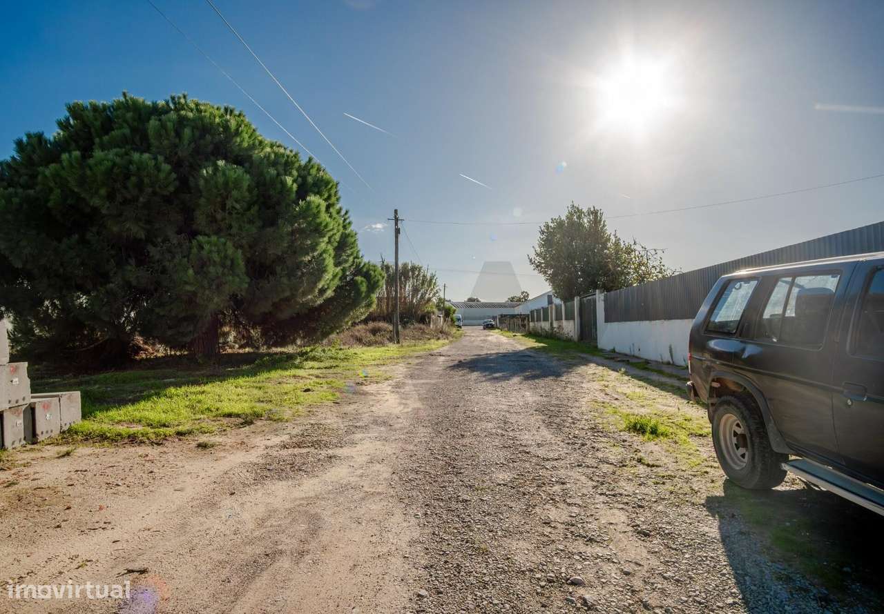 Terreno Rústico, no Pinhal das Formas, Quinta do Anjo, Palmela-4