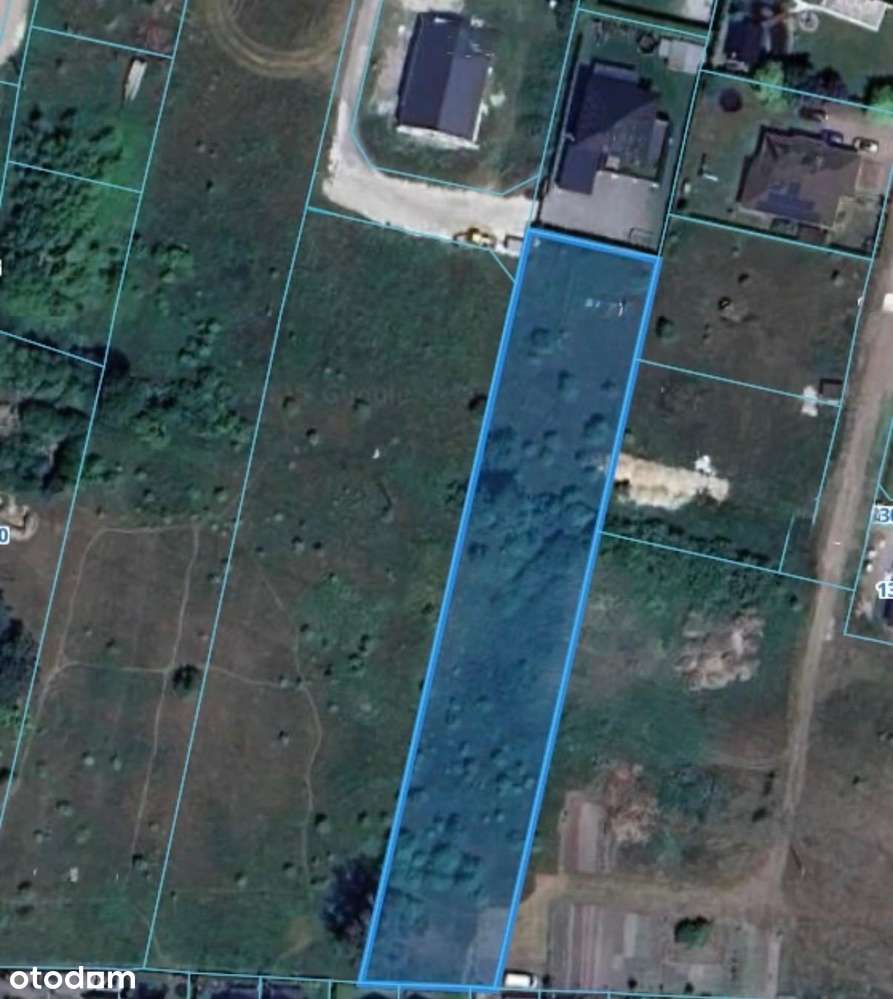 Działka budowlana/ warunki zabudowy/ 3322m2/ gm.Białe Błota/ Zielonka - Pełny obrazek: 4/4