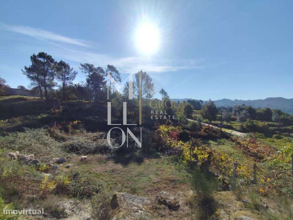 Terreno com 3.699M2, viabilidade de construção e venda em Arcos de Val - Grande imagem: 4/19