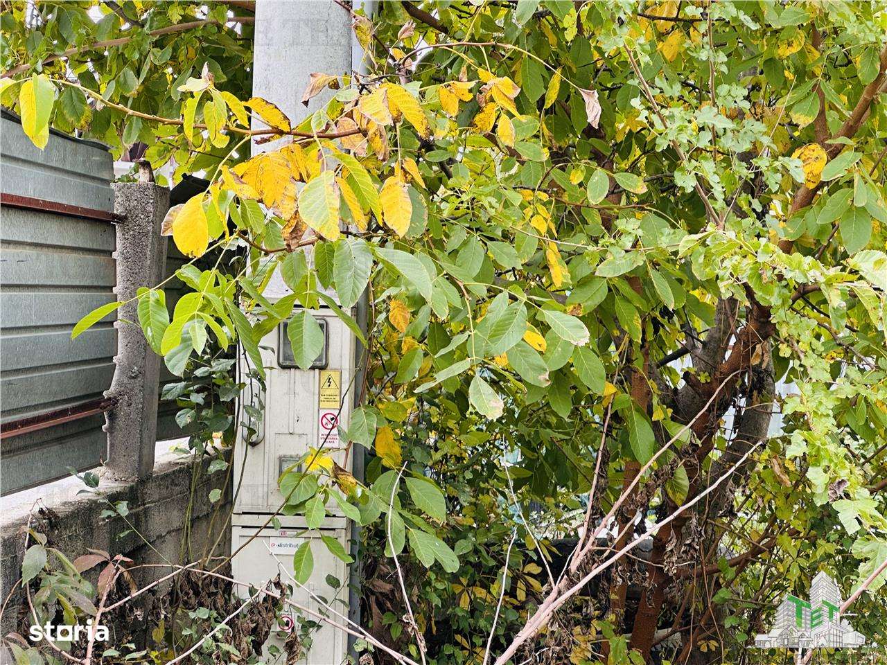 Teren intravilan 493 mp, superb, stradal la asfalt, GIULESTI str CARAM - Imagine principală: 4/6