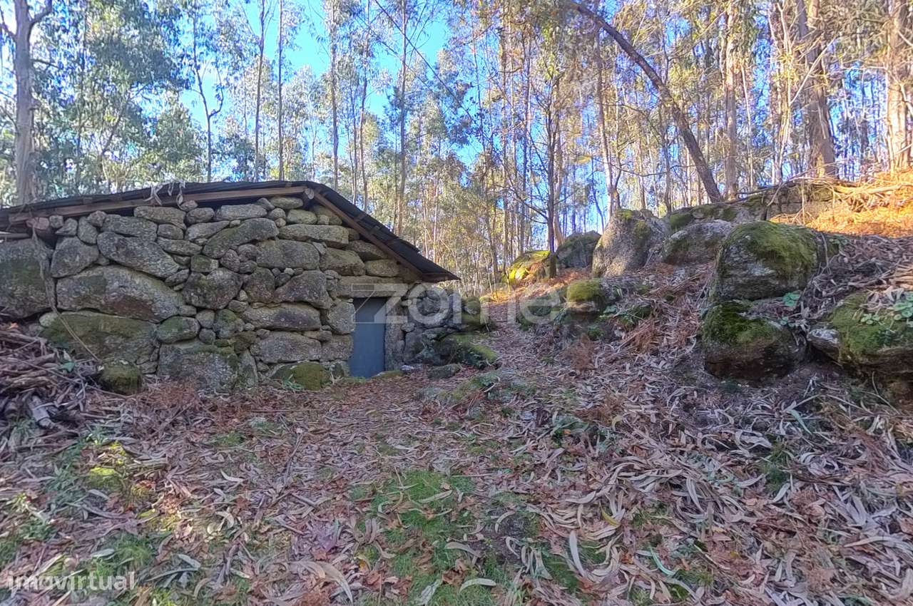 Terreno com Corte de Chão de Castro* - Grande imagem: 5/16