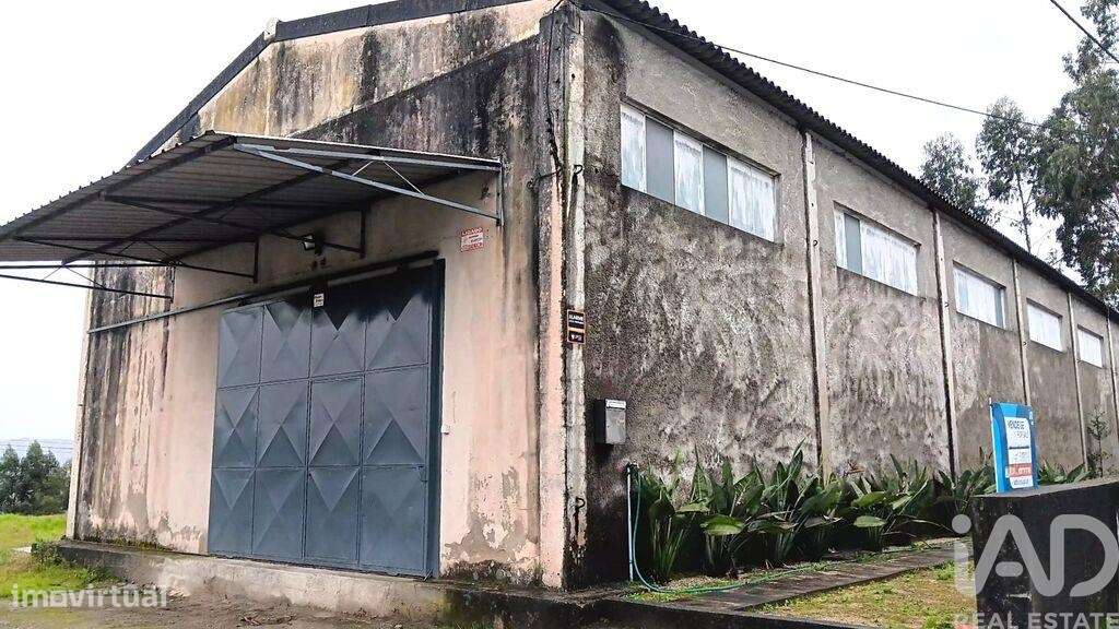 Hangar em Pedome de 300,00 m2 - Grande imagem: 4/23