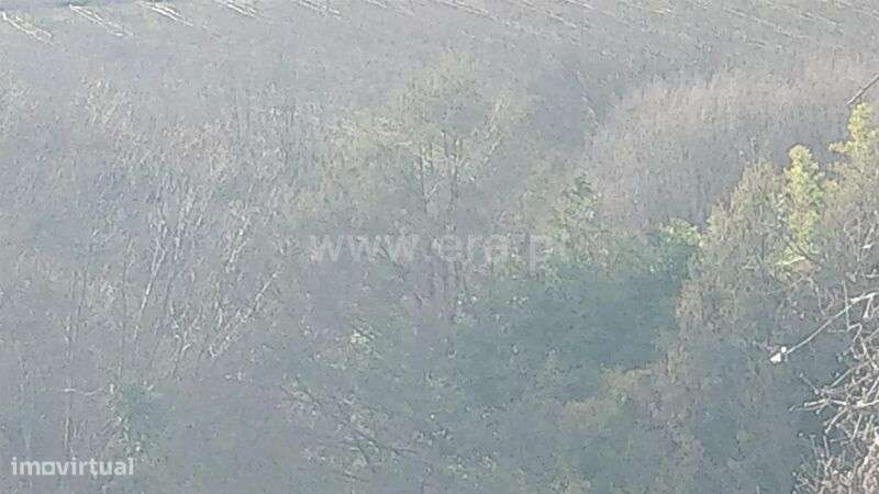 Terreno Rústico / Fundão, Capinha - Grande imagem: 2/4