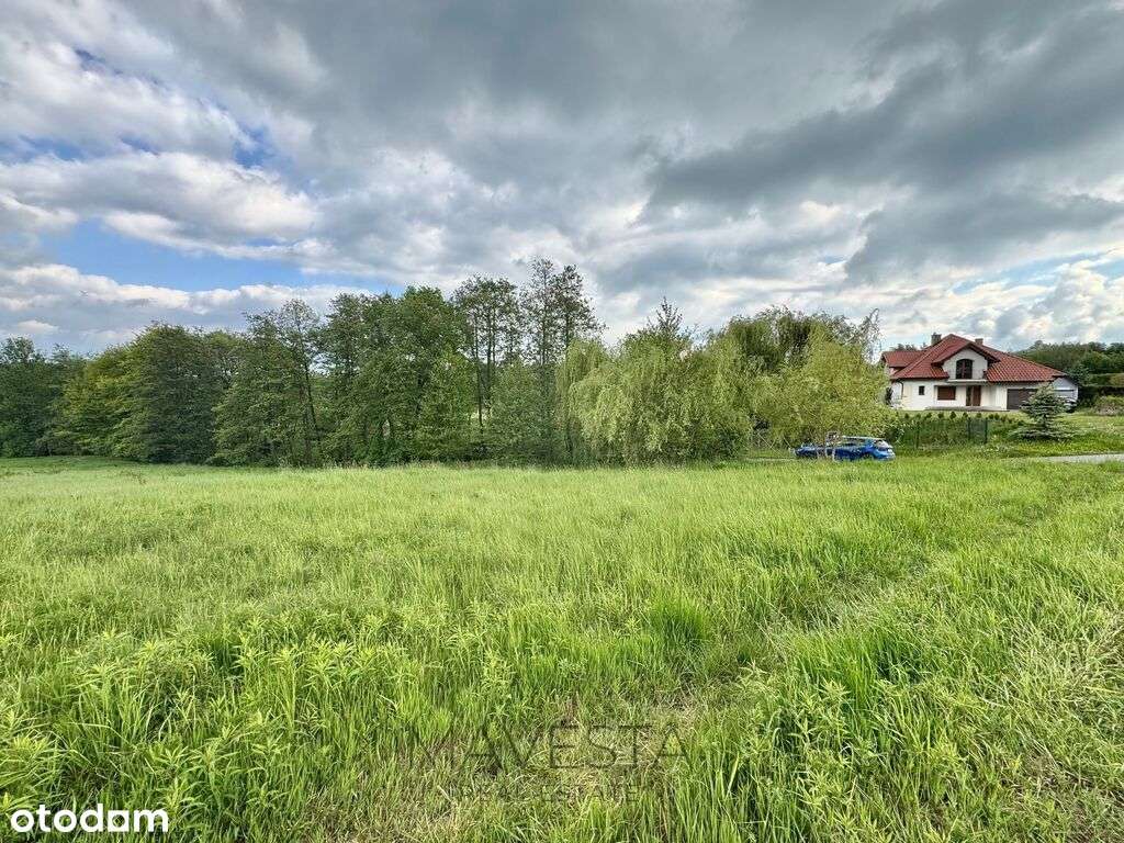 Działka rolna | 20 arów | Chorągwica-4