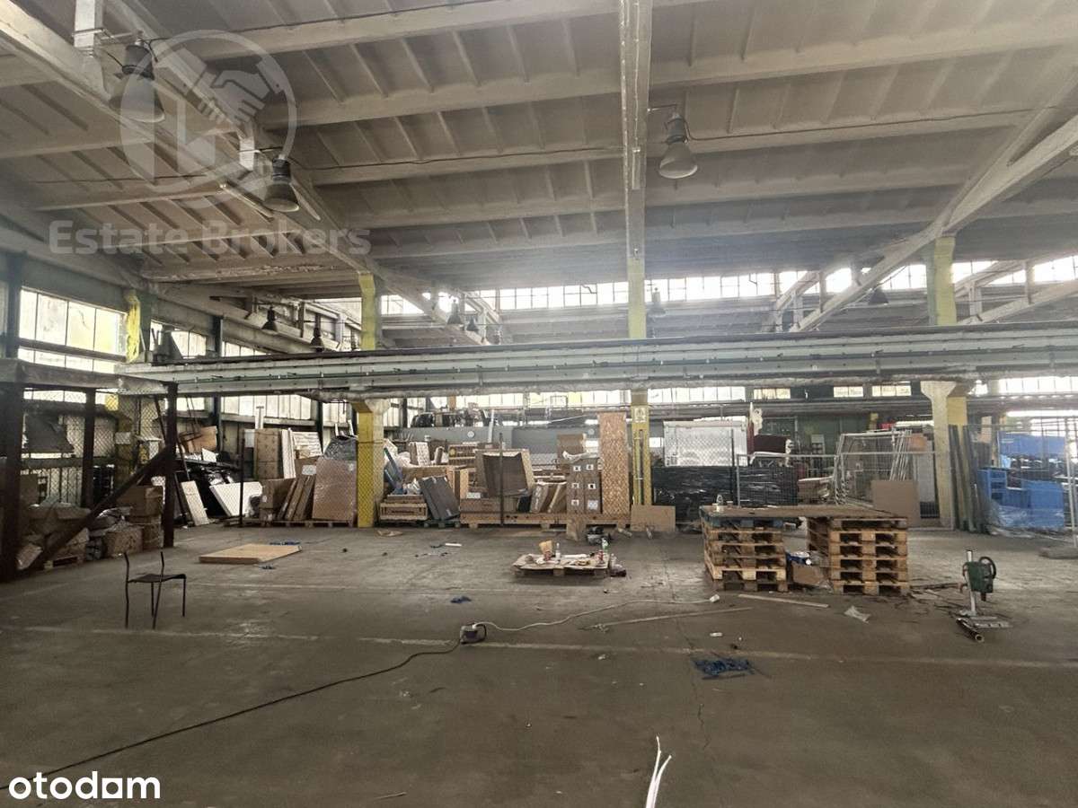 Magazyn w centrum - Pełny obrazek: 3/3