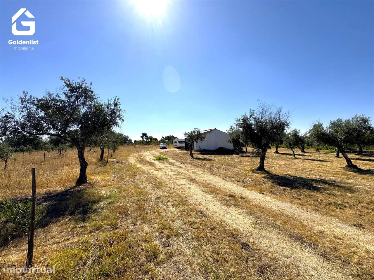 Quinta  Venda em Lardosa,Castelo Branco-23