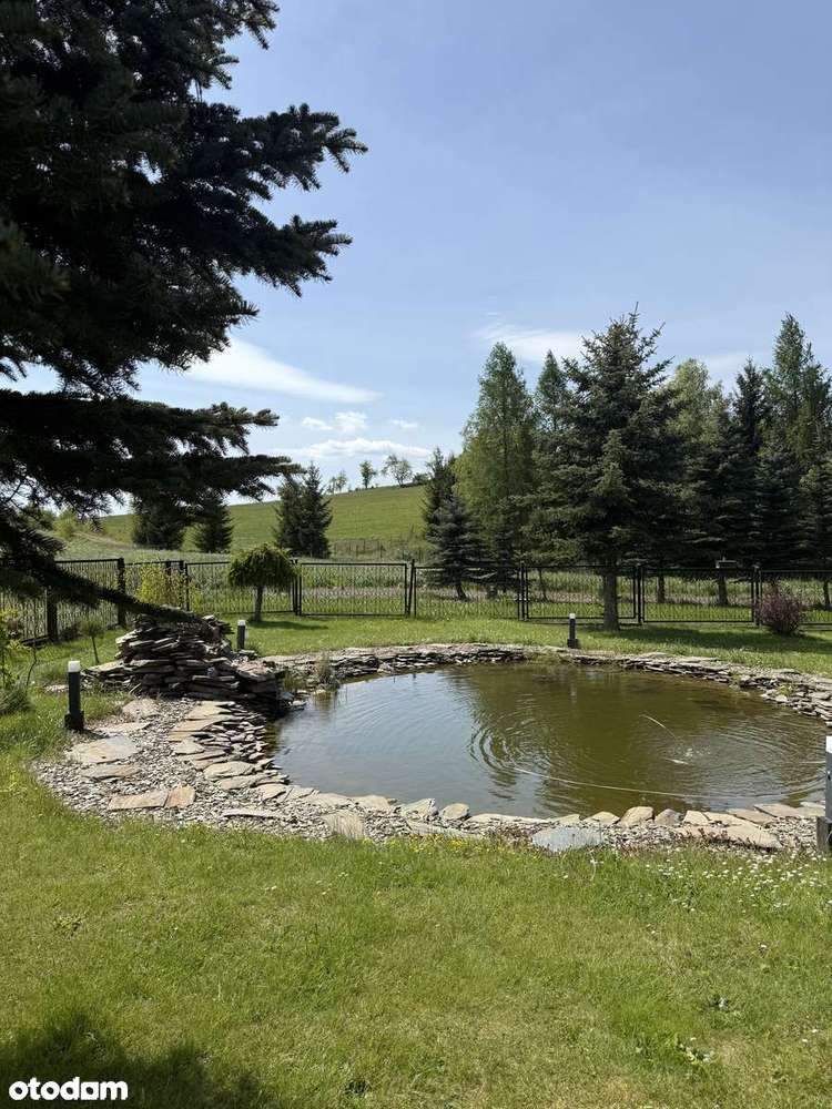 Dom wolnostojący z piękna działką we wsi Jabłów-12