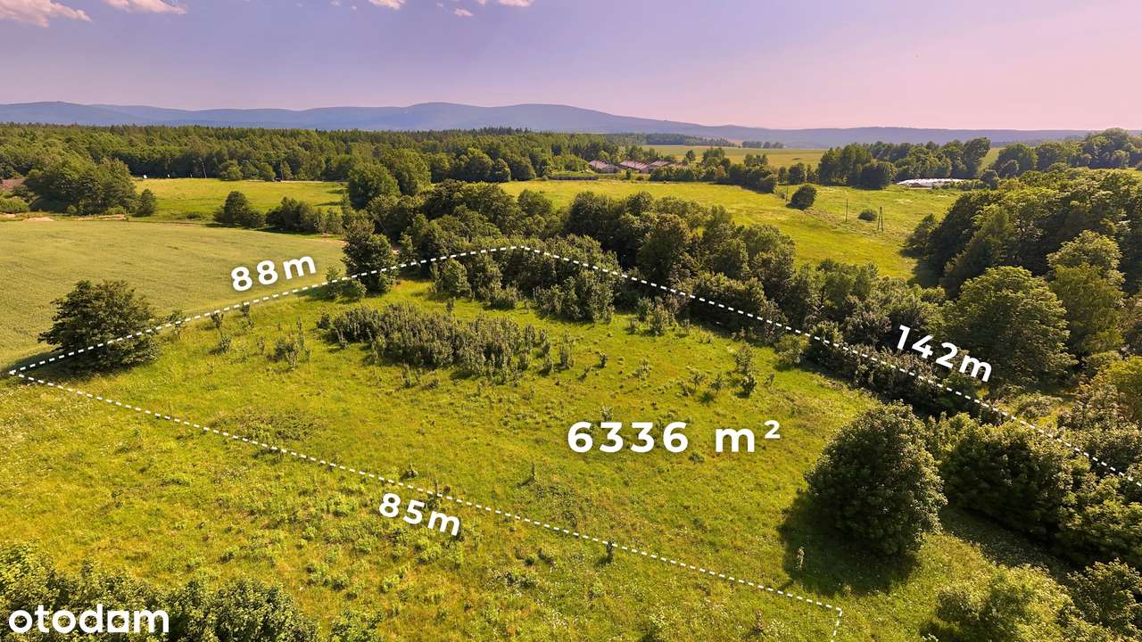 PIĘKNA DZIAŁKA 6336 M²/ŚWIECIE /PIĘKNE WIDOKI/MPZP/MOŻLIWOŚĆ PODZIAŁU-13