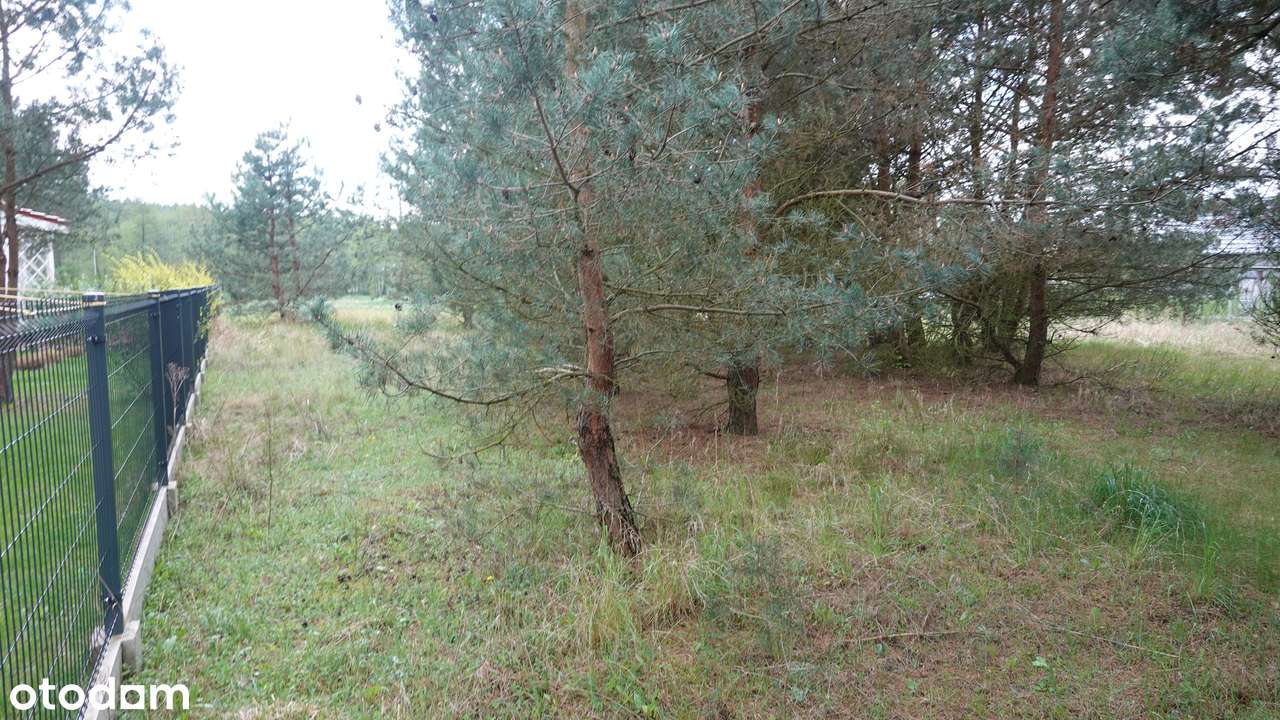 Wylatkowo działka - Pełny obrazek: 5/8