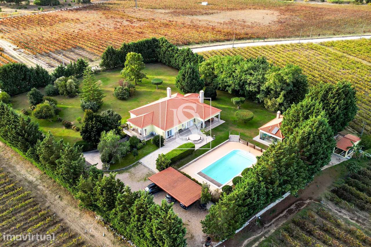 Quinta de Charme em Palmela com Moradia T6, Piscina e Vinha-33