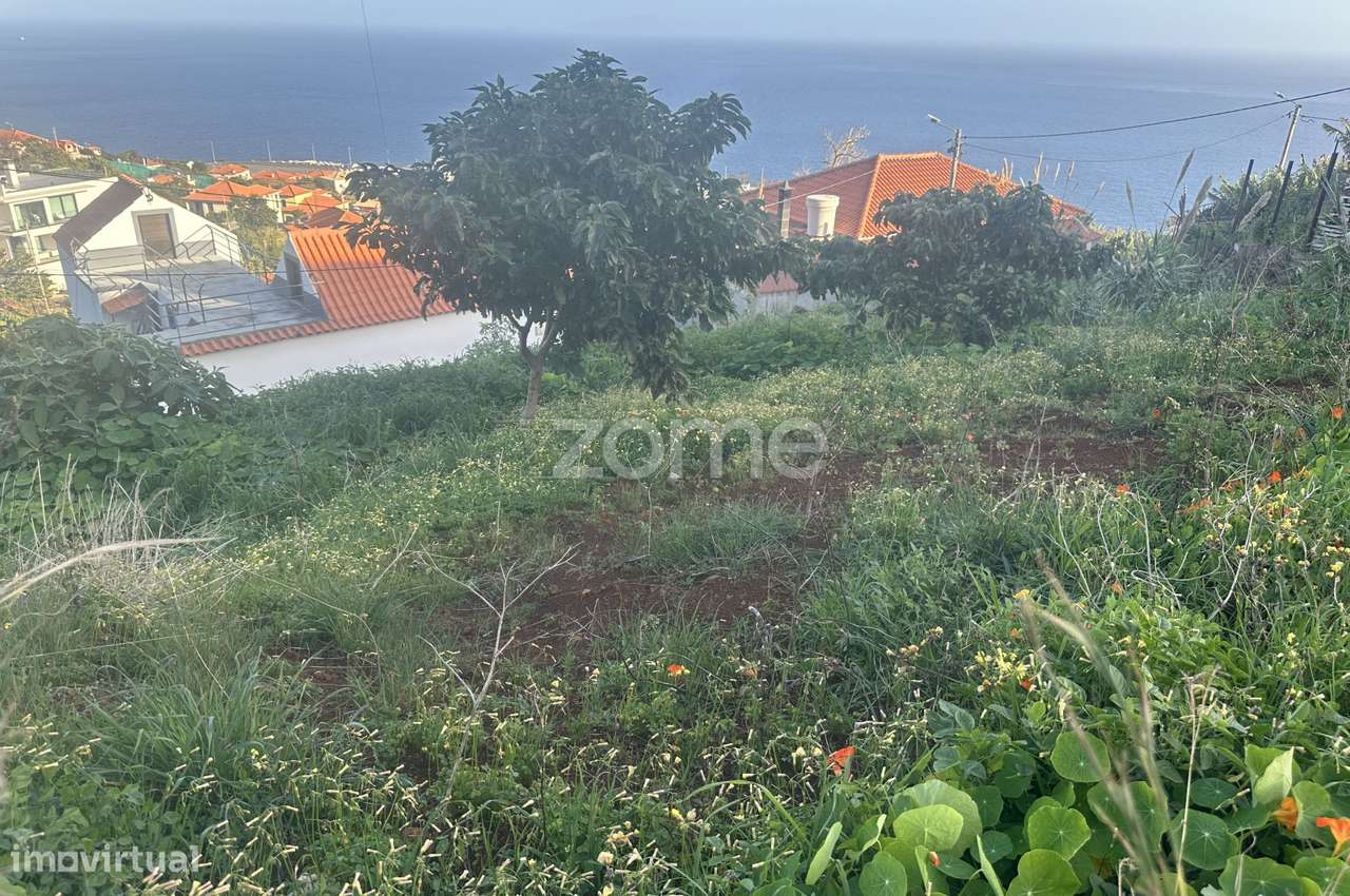 Terreno para construção em Santa Cruz - Grande imagem: 4/18