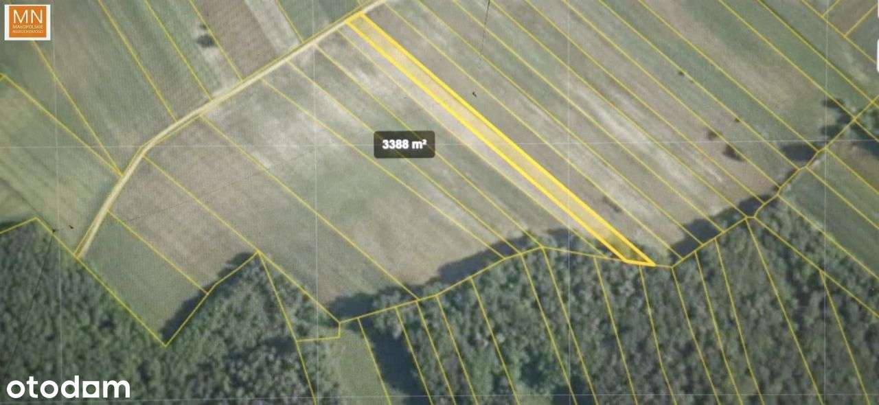 Koszyce,Rachwałowice,Działki 1,2142haRolne-14